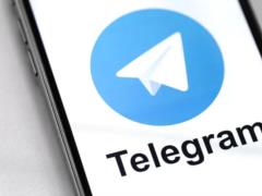 12 Telegram-каналов глав ОВА персонализированные —  Голка 