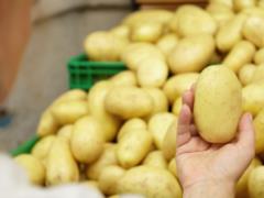 Как хранить картофель, чтобы он не пророс: простой трюк