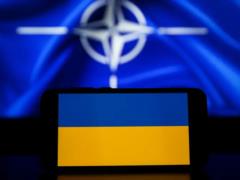 В НАТО заявили, что услышали от Украины  четкий план обороны  и поддержали его