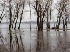 Снег зимой — вода весной? Угрожают ли Украине паводки в 2026 году