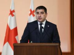 Зеленский является неблагодарным человеком — спикер парламента Грузии