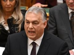 Выборы в Венгрии: партия Орбана значительно уступает оппозиционной Тисе