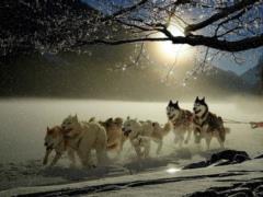 Гороскоп для всех знаков зодиака на 27 февраля 2026 года