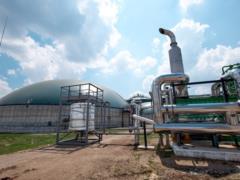 Германия рассматривает возможность покупки биогаза у Украины