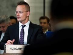 Посла Украины вызвали в МИД Венгрии из-за  насильственной охоты  на венгров