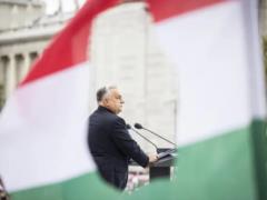 Зеленский считает, что Орбан проиграет выборы в Венгрии