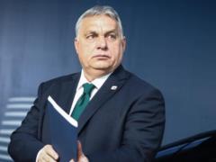 Орбан может присоединиться к Януковичу