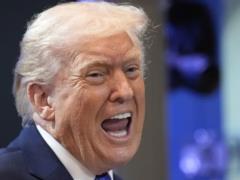 The Guardian: Трамп шантажирует Конгресс и требует принять закон, который лишит миллионы американцев права голоса