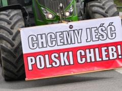 В Польше заблокировали почти 60 тонн агропродукции из Украины