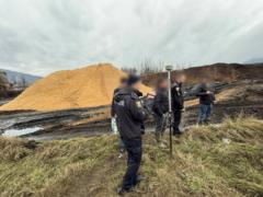 В Закарпатье комбинат допустил загрязнение окружающей среды на 15 млн грн