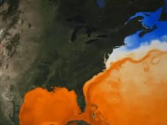 Изменения в Гольфстриме могут предупредить о коллапсе ключевых течений в Атлантике