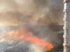 В Софиевской Борщаговке бушует масштабный пожар