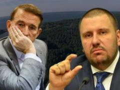 Cвязанные с Медведчуком и Клименко земли на Киевщине вернули государству
