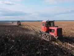Россияне останутся без нормальной еды: в России кризис агросектора