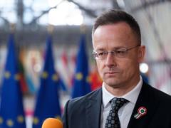Сийярто звонил и докладывал Лаврову о заседаниях ЕС - СМИ