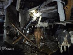 РФ атаковала сельскохозпредприятие на Черниговщине