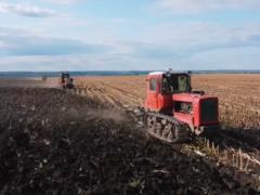 Одна из сфер в Украине перегревается кадрами: зарплаты уже достигают 36 тыс. грн и это только начало