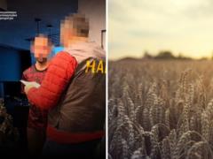 За границу вывезли зерно без всякой оплаты: в Украине разоблачили масштабную схему хищения на $29 млн