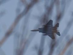 США спасли второго пилота сбитого истребителя F-15 в Иране