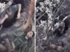 Оккупант не пустил своего  собрата  в укрытие, боясь разоблачения позиции: в финале ликвидировали их обоих.