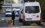 В России как минимум в 16 регионах фиксируют очаги бешенства - СМИ