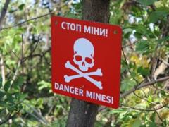 В Сумской области юноша подорвался на мине