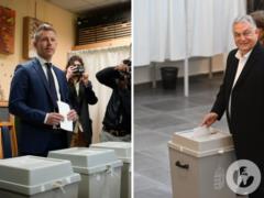 Избирательные участки в Венгрии закрылись: что показывают первые опросы