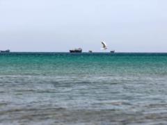 Движение в Ормузском проливе восстанавливается: за сутки прошли более 20 судов — WSJ
