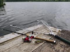 Кременчугское водохранилище останется без рыбы: ФГИУ выставил на продажу государственный питомник рыбы