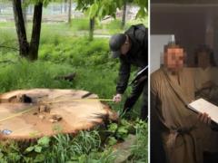 В ВСУ разоблачили коррупцию на 14,7 млн грн: какие схемы обнаружили