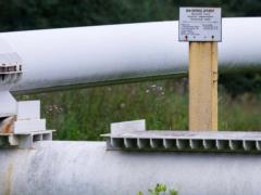 Украина возобновит поставки нефти через  Дружбу  21 апреля – Bloomberg
