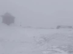 Зима в апреле: в Карпатах посреди весны пошел снег. Фото и видео
