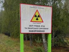 Выявлены организаторы сдачи в аренду земель Чернобыльской зоны