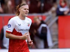 Utrecht and Stepanov recognized the poverty of Excelsior