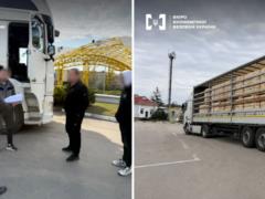 Незаконно экспортировал  лес  в Польшу: в Украине будут судить организатора схемы