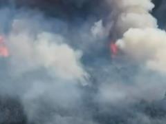 В Черниговской области из-за обстрелов со стороны РФ горит 2400 гектаров леса: лесники не могут добраться до места пожара
