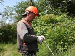 В одной из областей Украины сетевые ограничения