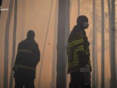 Пожар в Чернобыльской зоне: эксперты оценили уровень радиации