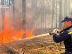 В ГСЧС рассказали о последствиях пожаров