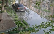 В Энгельсе заявили о  фекальном апокалипсисе 