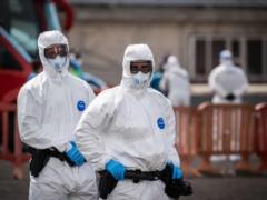 Стресс против смертельного вируса: врачи на борту MV Hondius упустили одну из инфицированных хантавирусом