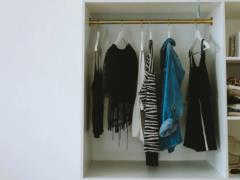Не лаванда или гвоздика: трюк, который спасет вашу одежду от моли