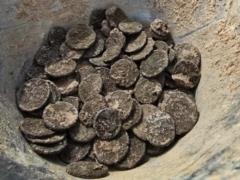 В Хорватии нашли более 300 римских монет