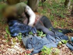 Жителя Киева нашли мертвым в лесу у границы с Румынией