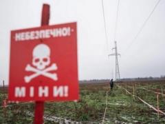 В Сумской области женщина подорвалась на российской мине