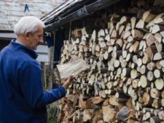 Украинцы бьют рекорды и раскупают дрова с бешеной скоростью