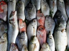 РФ запретила ввоз рыбы и рыбной продукции из Армении
