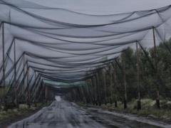 В Украине обустроили более 800 км антидроновых туннелей