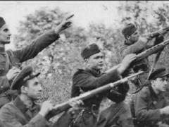 Не забываем о победах УПА: героическое сопротивление принесло масштабные результаты