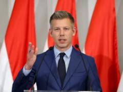  Рано радоваться : Мадьяр предрек большие проблемы для  марионеток Орбана 